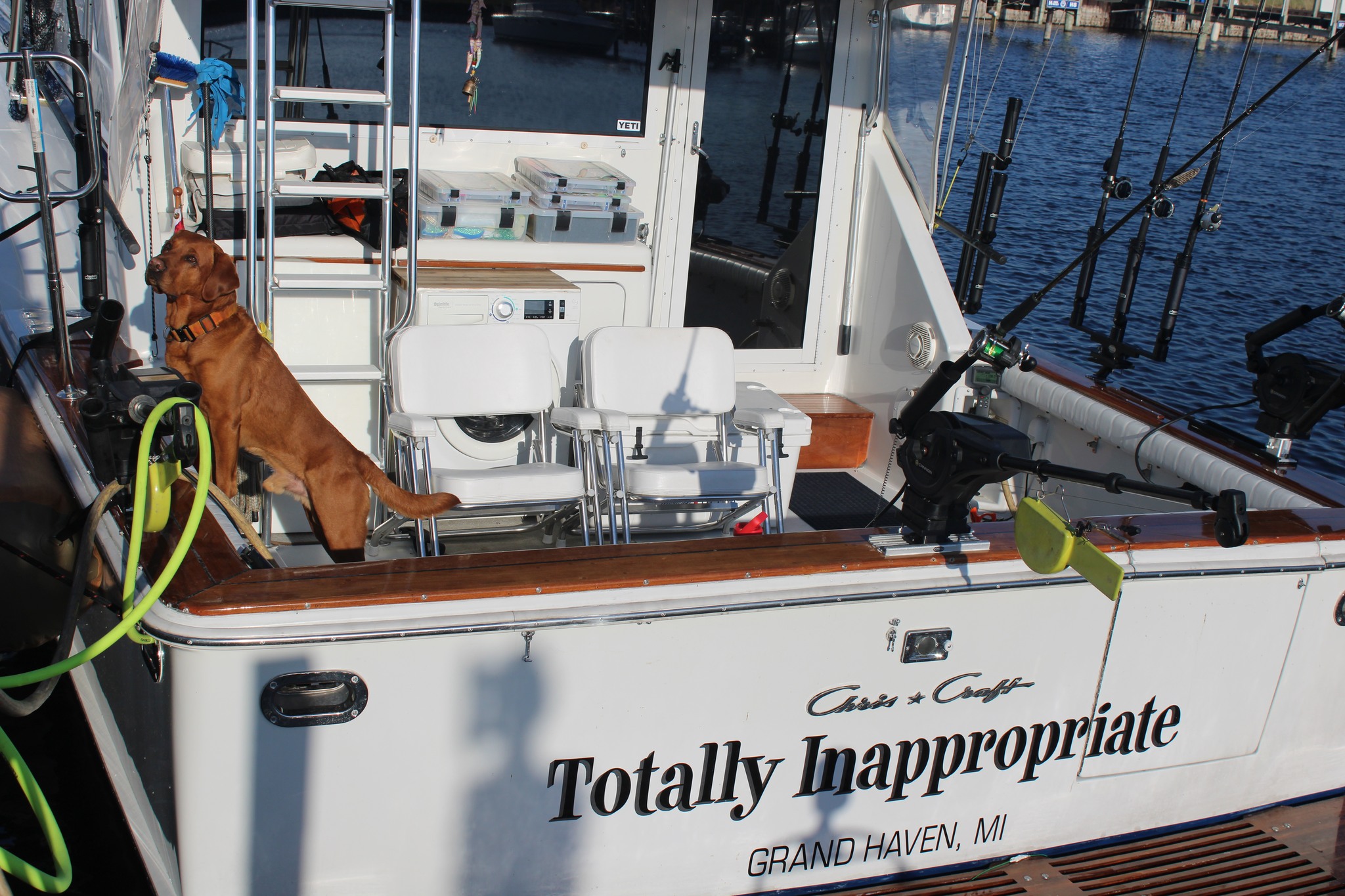 A fishing boat named 'Totally Inappropriate' with a brown dog standing on deck in Grand Haven, Michigan.